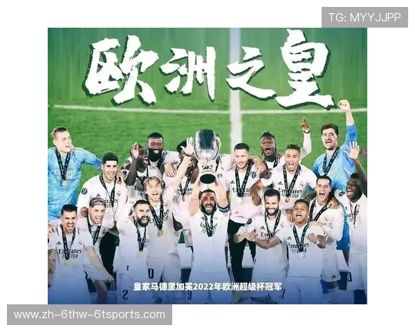 法甲数据分析公司及其服务内容介绍