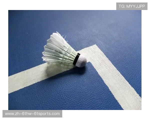 羽毛球判断界外球